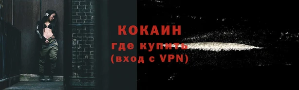 соль ск Богородск