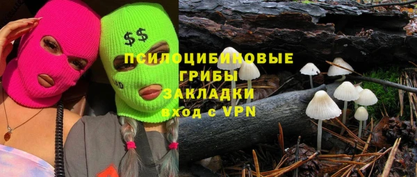 хмурый Богородицк