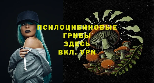 хмурый Богородицк