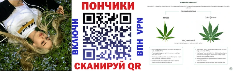 где найти наркотики  Кущёвская  Шишки марихуана гибрид 